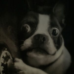 Meet your Posher, Rafael